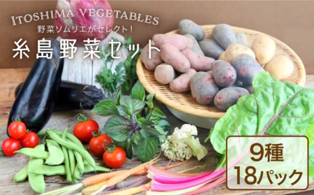 糸島野菜セット