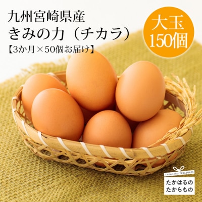 『定期便』年3回計150個 宮崎県産きみの力(チカラ)大玉