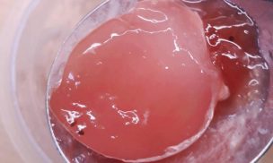 もちカフェ いちご